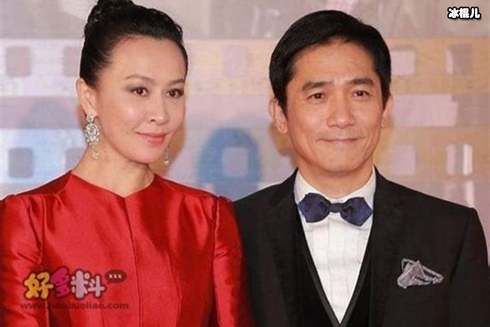 前央视丁克主持人结婚14年意外得一子，如今变身宠娃狂魔